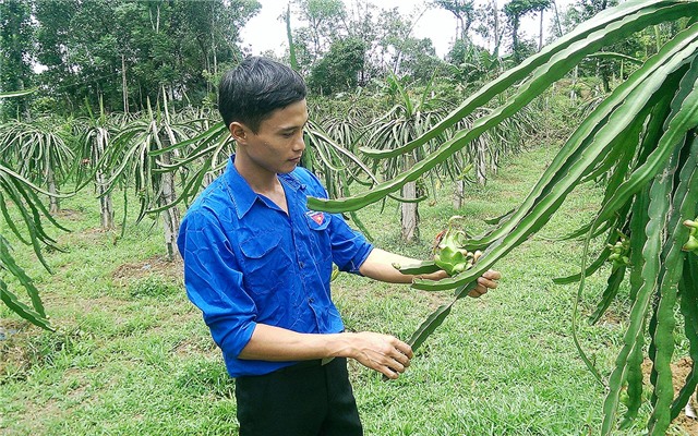 9x lieu minh dua thanh long ruot do ve vung bien gioi - 2