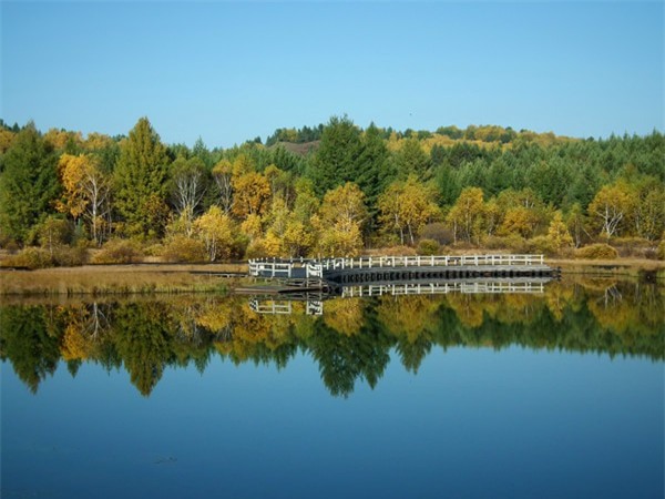 Đi thăm Bashang, bạn cần chú ý mang theo áo ấm bởi chưa phải mùa đông nhưng mùa thu trên thảo nguyên đã rất lạnh. Ban ngày nhiệt độ tuy thấp nhưng nắng vẫn vàng rộm nên du khách có thể mang theo kem chống nắng để phòng tia cực tím.