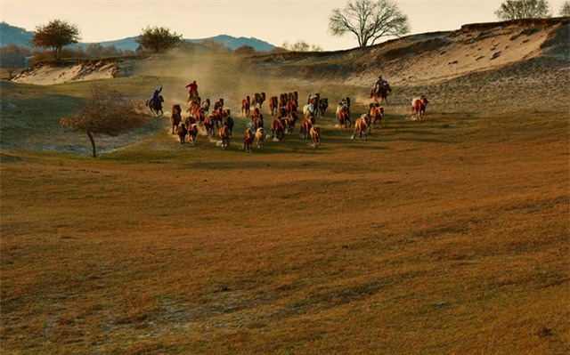 Mùa thu về, cả thảo nguyên từ đồng cỏ, hồ nước, núi non và thung lũng đều được bao phủ một sắc vàng rực rỡ.