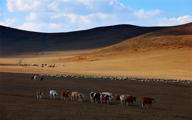 Tận hưởng khung cảnh thiên nhiên tuyệt diệu với nhịp sống thật chậm, thật thư thái chắc chắn sẽ là những trải nghiệm tuyệt vời cho du khách khi tới Bashang.