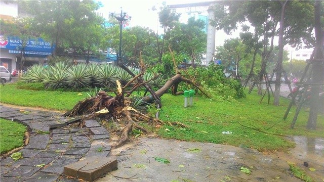 Bão số 3, đánh vỡ bờ kè, nhấn chìm, tàu thuyền, Quảng Nam