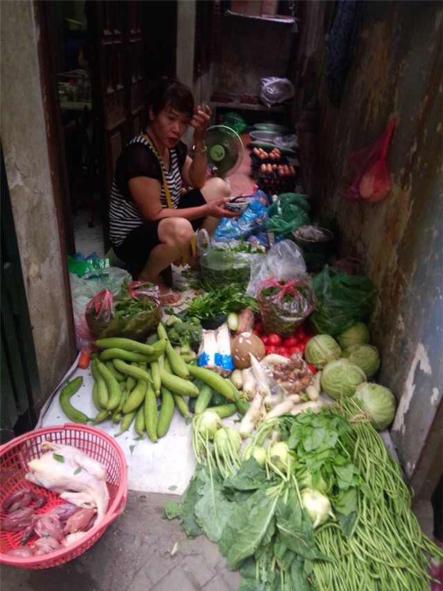 bắp cải trung quốc, trung quốc, rau củ trung quốc, bắp cải, rau, thực phẩm bẩn, rau củ trung quốc đội lốt, bắp-cải, bắp-cải-Trung-Quốc