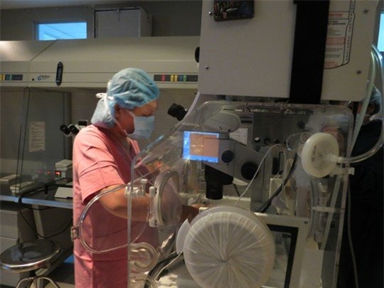 tphcm: ca mang thai ho thanh cong dau tien la song thai - 2