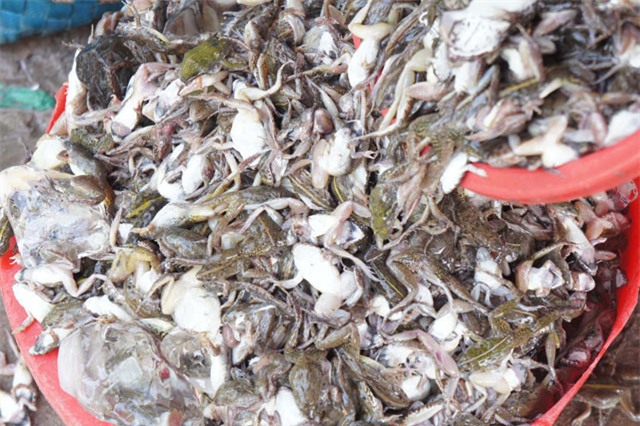 quy trinh dua “vu nu chan dai” mien tay len ban nhau hinh anh 2