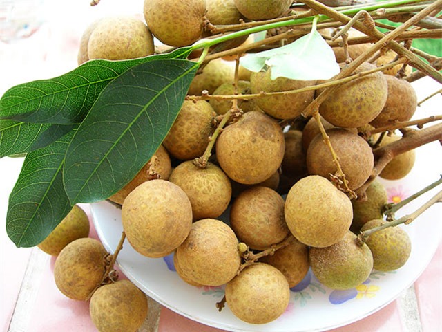 Tuy số lượng còn hạn chế, song đây cũng là tín hiệu đáng mừng cho bà con nông dân.