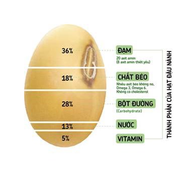 Đàn ông có nên ăn đậu nành? - 3