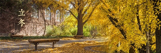 Đại học Thanh Hoa. Nếu cảnh thu ở khu Điếu Ngư Đài có ý nghĩa tượng trưng cho thu Bắc Kinh, cảnh thu trong Địa Đàn mang ý nghĩa văn hóa lịch sử thì cảnh thu trong khuôn viên Đại học Thanh Hoa sẽ mang tới cho du khách cảm giác trong trẻo, ngọt ngào. Trong trẻo có lẽ bởi sức sống, nét hồn nhiên của tuổi thanh xuân, của tuổi trẻ trong khuôn viên của trường. Ảnh: Sina