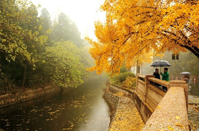 Du khách có thể tới đây bằng xe bus 355zhi, 355, 375zhi, 628, 749...hoặc tàu điện ngầm số 13. Ảnh: Ifeng