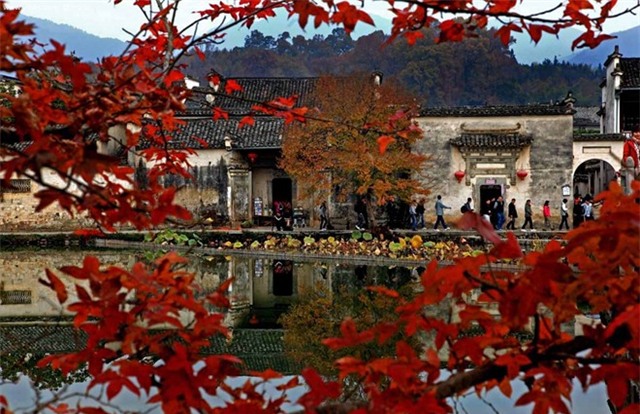 Công viên Hương Sơn (Xiangshan Gongyuan). Đây có lẽ là nơi khiến hơi thu nóng bỏng nhất Bắc Kinh bởi sắc đỏ của rừng Phong. Ảnh: Tengxun