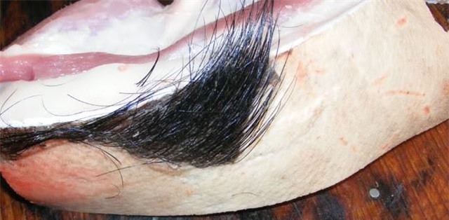 thịt lợn, thịt lợn đen, thịt lợn bản, thịt lợn sạch, thịt lợn còn nguyên lông, bà nội trợ, cửa hàng online, thịt-lợn, thịt-lợn-đen, lợn-bản, thịt-lợn-sạch, thịt-lợn-còn-nguyên-lông, bà-nội-trợ, cửa-hàng-online