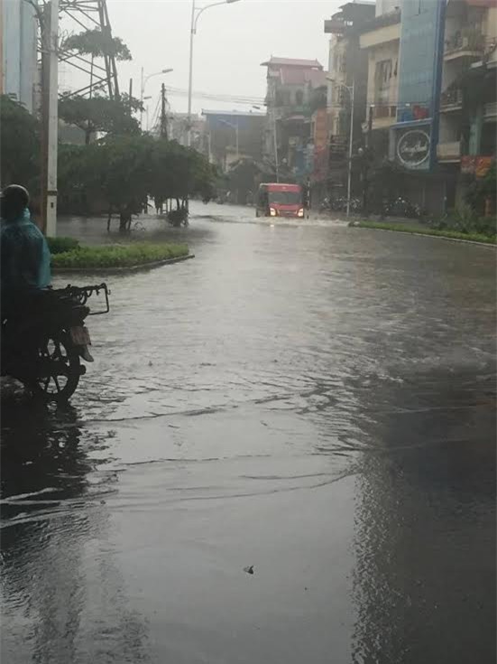 mưa, mưa lớn, lụt, ngập, cây đổ, tắc đường, Hà Nội