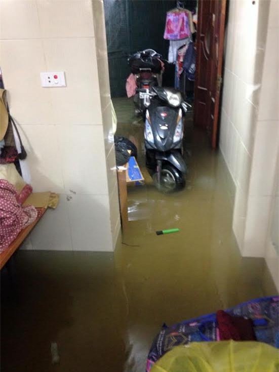 mưa, mưa lớn, lụt, ngập, cây đổ, tắc đường, Hà Nội