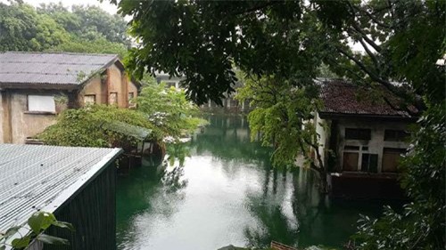 Tam Trinh, mưa, ngập, Hà Nội