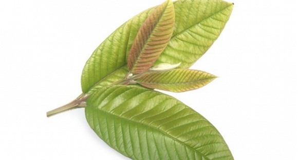 Mách bạn cách chữa tiêu chảy tại nhà không cần dùng thuốc 1