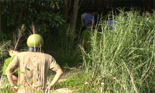 Biên Hòa, giết con, Đồng Nai