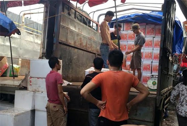 Lựu, hồng ngâm, lựu Trung Quốc, hồng ngâm Trung Quốc, hàng Việt Nam, đặc sản, đội lốt, hồng-ngâm, lựu-Trung-Quốc, hồng-ngâm-Trung-Quốc, hàng-Việt-Nam, đặc-sản, đội-lốt, bán-tràn-lan, chợ-Long-Biên