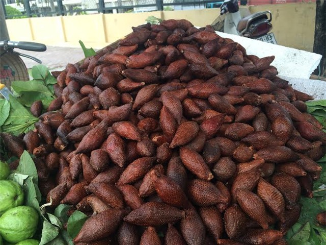 mận Tàu, nho Mỹ, nho chuỗi ngọc, Hà thành, cơn sốt, chị em, nho lào, ăn vặt, thanh mai, mận-Tàu, nho-Mỹ, nho-chuỗi-ngọc, Hà-thành, cơn-sốt, chị-em, nho-lào, ăn-vặt, thanh-mai,