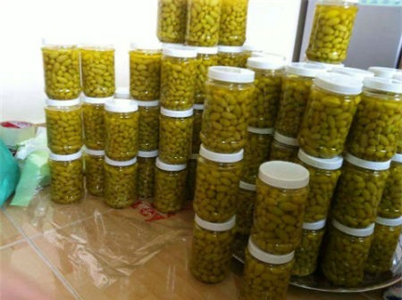 mận Tàu, nho Mỹ, nho chuỗi ngọc, Hà thành, cơn sốt, chị em, nho lào, ăn vặt, thanh mai, mận-Tàu, nho-Mỹ, nho-chuỗi-ngọc, Hà-thành, cơn-sốt, chị-em, nho-lào, ăn-vặt, thanh-mai,