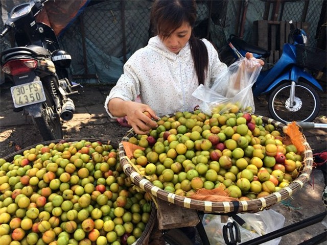 mận Tàu, nho Mỹ, nho chuỗi ngọc, Hà thành, cơn sốt, chị em, nho lào, ăn vặt, thanh mai, mận-Tàu, nho-Mỹ, nho-chuỗi-ngọc, Hà-thành, cơn-sốt, chị-em, nho-lào, ăn-vặt, thanh-mai,