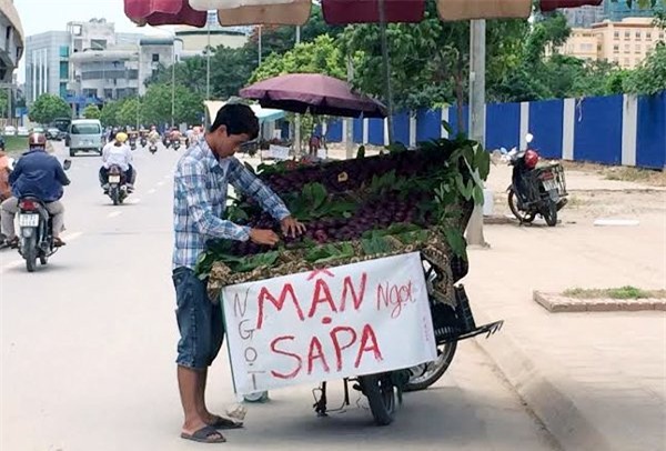 mận Tàu, nho Mỹ, nho chuỗi ngọc, Hà thành, cơn sốt, chị em, nho lào, ăn vặt, thanh mai, mận-Tàu, nho-Mỹ, nho-chuỗi-ngọc, Hà-thành, cơn-sốt, chị-em, nho-lào, ăn-vặt, thanh-mai,