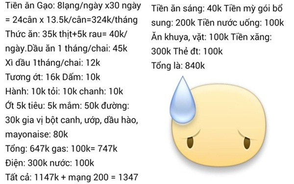 Nháo nhác với tổng chi tiêu hơn 2 triệu đồng/tháng của mẹ bầu cho gia đình