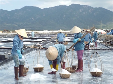 Diêm dân Khánh Hòa lao động vất vả trên cánh đồng muối Hòn Khói (Ảnh: Viết Hảo)