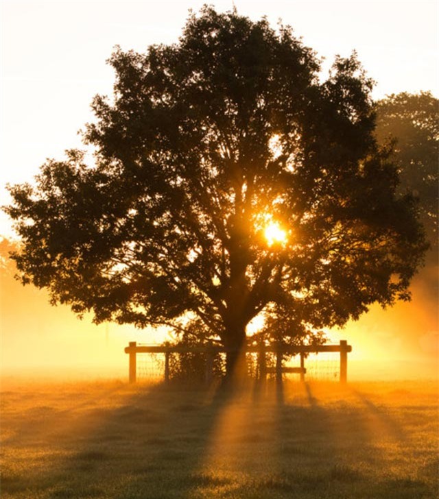 anh: mua thu nhuom vang nuoc anh hinh anh 1