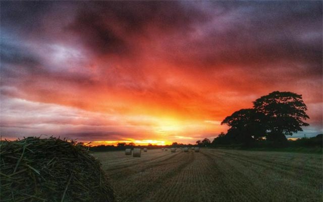 anh: mua thu nhuom vang nuoc anh hinh anh 3