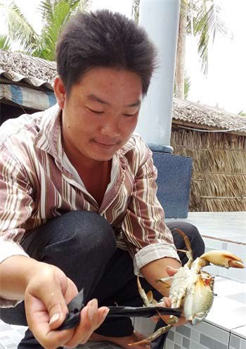càng cua