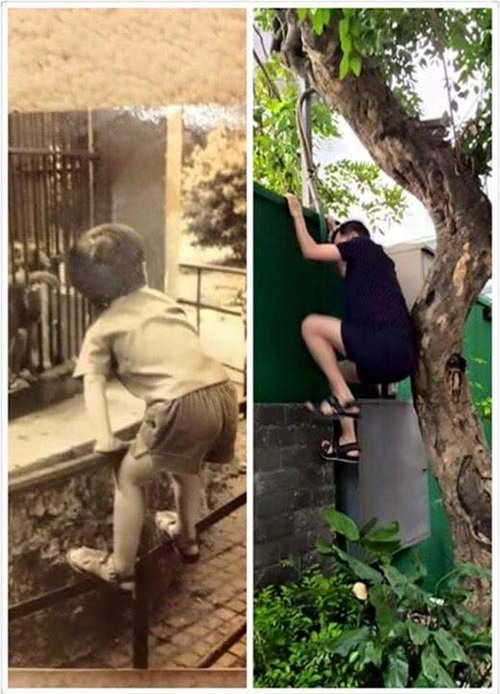 Đàm Vĩnh Hưng khoe ảnh tuổi thơ nhân sinh nhật - 3