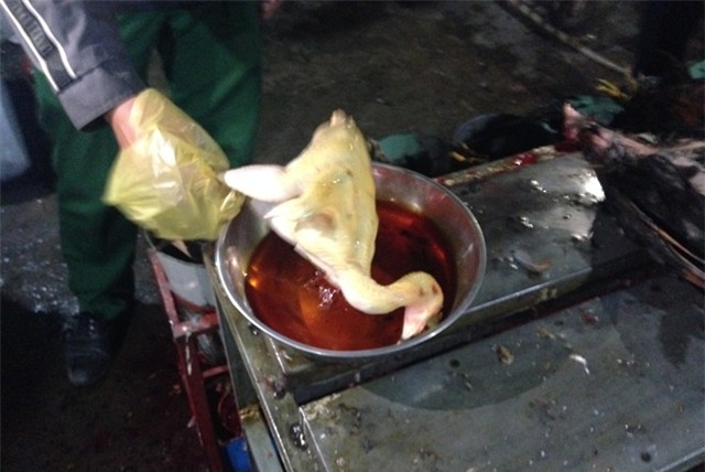 gà, hóa chất, tẩm gà, an toàn thực phẩm, gà tẩm hóa chất, thực phẩm bẩn, quản lý thị trường, tiêu dùng, người tiêu dùng