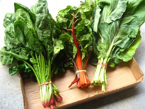 thực phẩm giảm căng thẳng 1