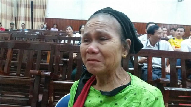 Vi Văn Hai, giết người, Nghệ An