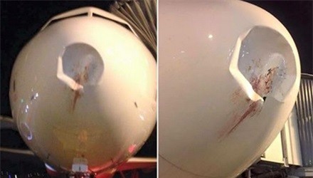 Hiện trạng máy bay Vietjet bị lõm sâu phần mũi do bị chim va vào.