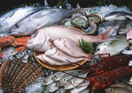 hải sản