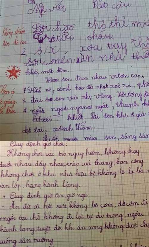 Tâm sự xúc động của mẹ có con gái từng bị cô giáo 