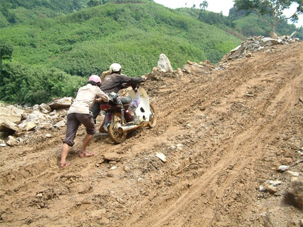 Sâm Ngọc Linh, đại gia, Tỷ phú, Trà My, Quảng Nam, rừng sâm, sâm-ngọc-linh, người-rừng