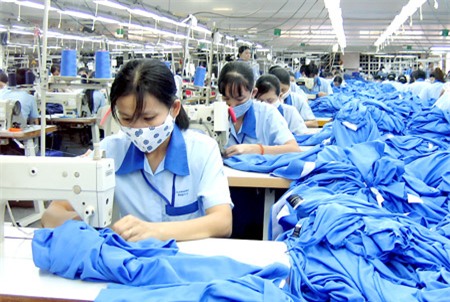 TPP, Việt Nam, nông nghiệp, dệt may, hiệp định, hàng rào kỹ thuật, giảm thuế, nông-nghiệp, dệt-may
