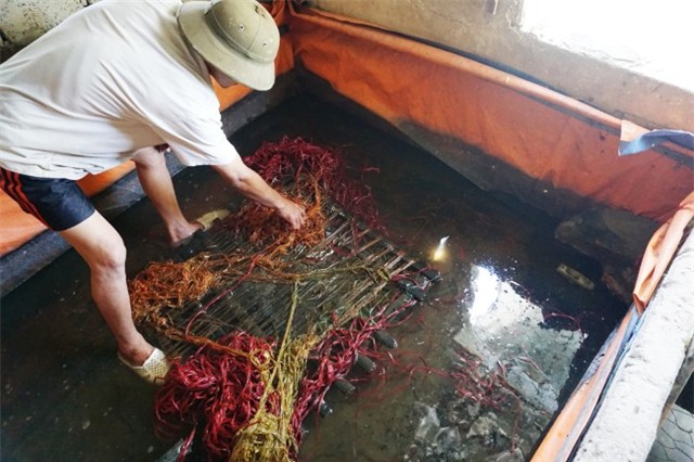 tăng trọng