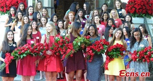 dan mang phat sot voi