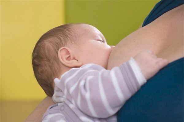 Không chỉ tốt cho sức khỏe bà bầu, nước lá vối còn giúp lợi sữa sau sinh