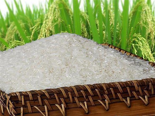 Bao Gạo 10Kg Thiết Kế Bao Đựng Gạo Đa Dạng  Giao Hàng Nhanh