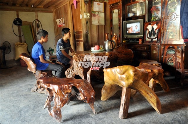 báu vật, gù hương, Mào Gà, tinh dầu gù hương, tỏa hương, côn trùng, báu-vật, gù-hương, Mào-Gà, tinh-dầu-gù-hương, tỏa-hương, côn-trùng, Tây-Bắc