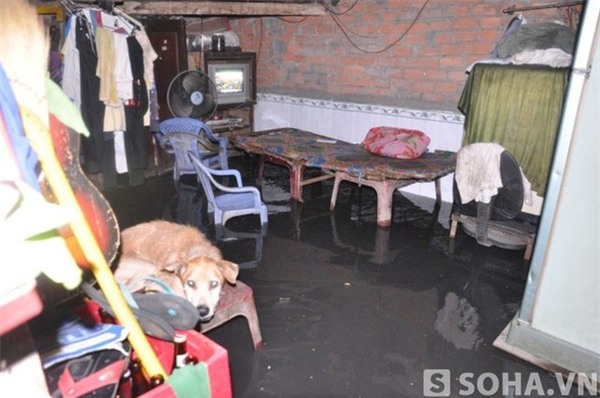 Cảnh tượng xoong chảo bồng bềnh trên đường phố Sài Gòn sau mưa