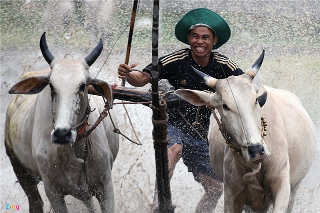 Bò húc khán giả ngã lăn trên đường đua miền Tây