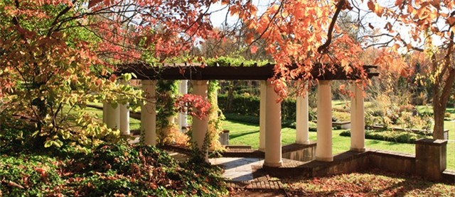 Những đại học đẹp nhất nước Mỹ vào mùa thu