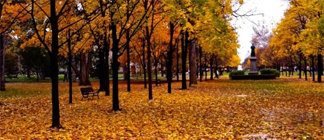 Những đại học đẹp nhất nước Mỹ vào mùa thu