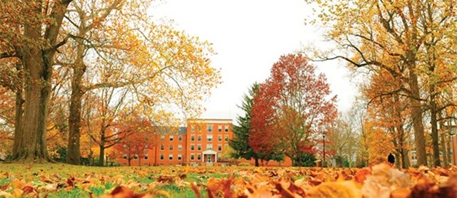 Những đại học đẹp nhất nước Mỹ vào mùa thu