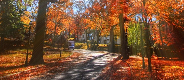 Những đại học đẹp nhất nước Mỹ vào mùa thu