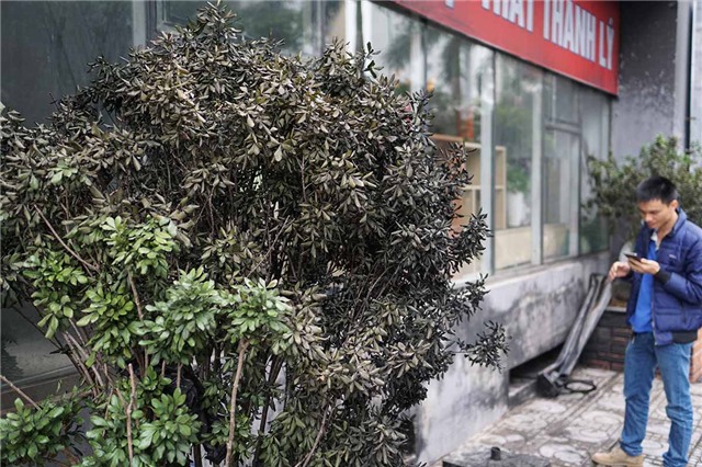 cháy, chung cư, Xa La, hỏa hoạn, nhà cao tầng